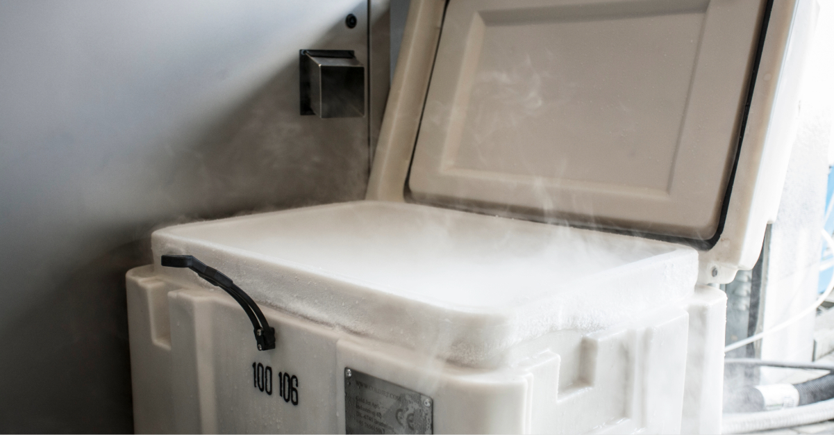 dry ice container